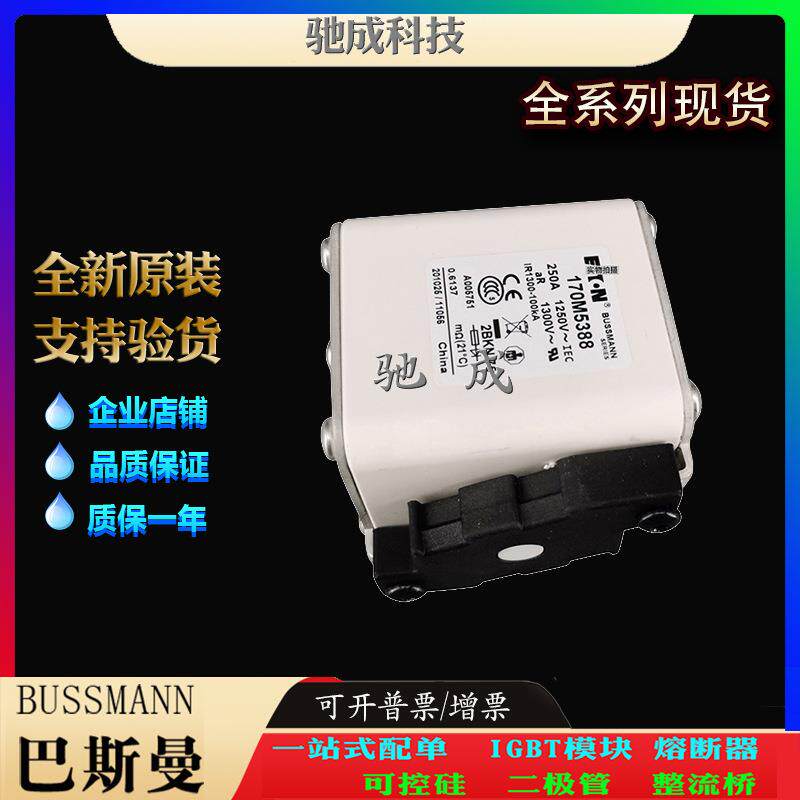 巴斯曼170M5314 170M5315 170M5316 厂家原装优价供应 原装熔断器
