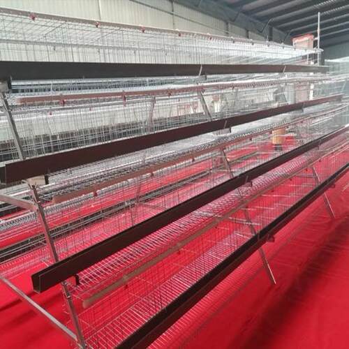工厂蛋鸡笼肉鸡笼鹌鹑笼家禽蛋鸡笼各种设备现雏鸡养殖设备