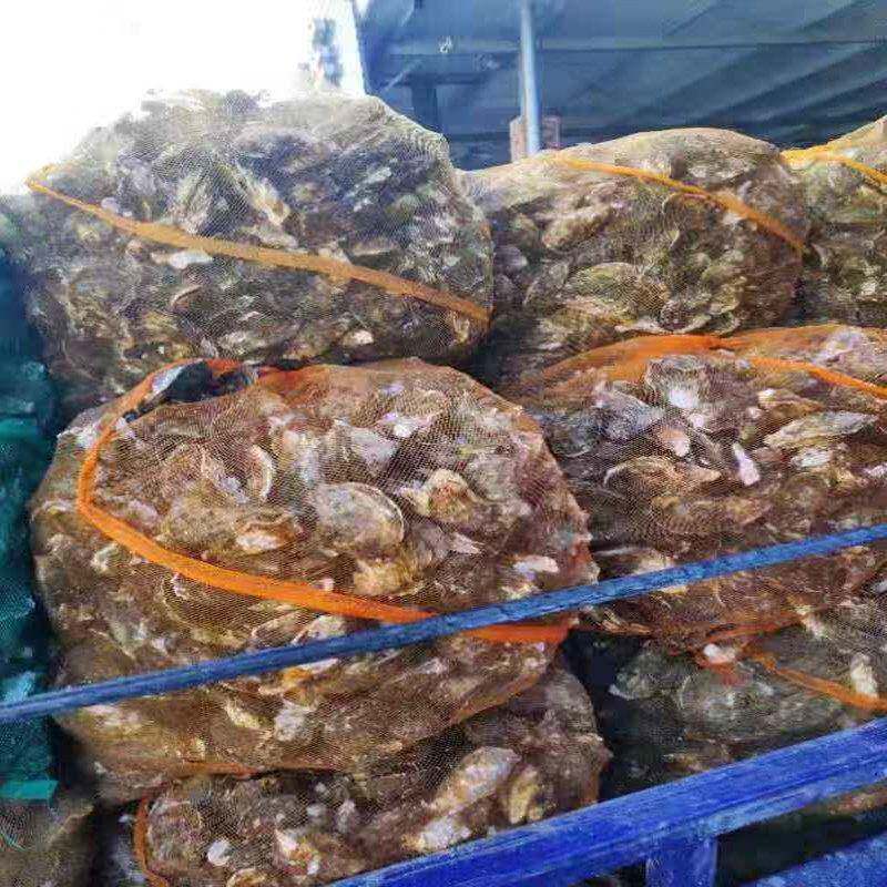 大闸蟹海鲜洋葱土豆山网袋蔬菜水果网眼袋种子袋浸种袋