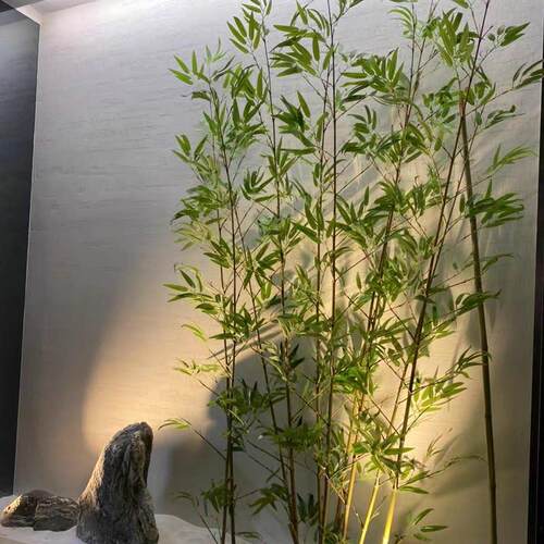 装饰竹子彷真隔断挡墙客厅展厅造景假竹子人造绿毛竹塑料庭院植物