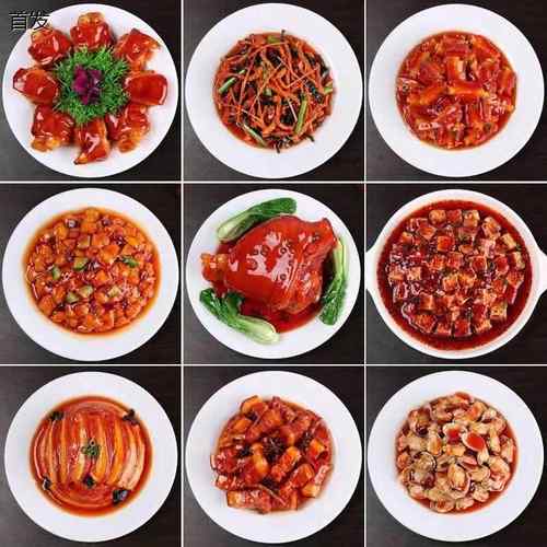 菜品模型仿真菜摆样食品模型假菜样品拍摄视频表演美食道具玩具