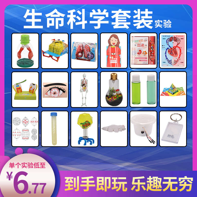 儿童生命科学实验器材套装 幼儿园小学生制作材料 实验小发明diy