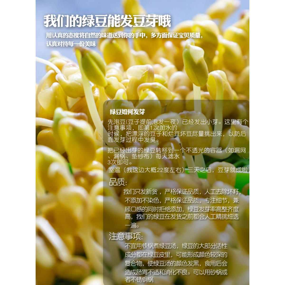 绿豆新货云南农家绿小豆新鲜发豆芽皮薄出沙甜品煲粥煲汤糕点原料