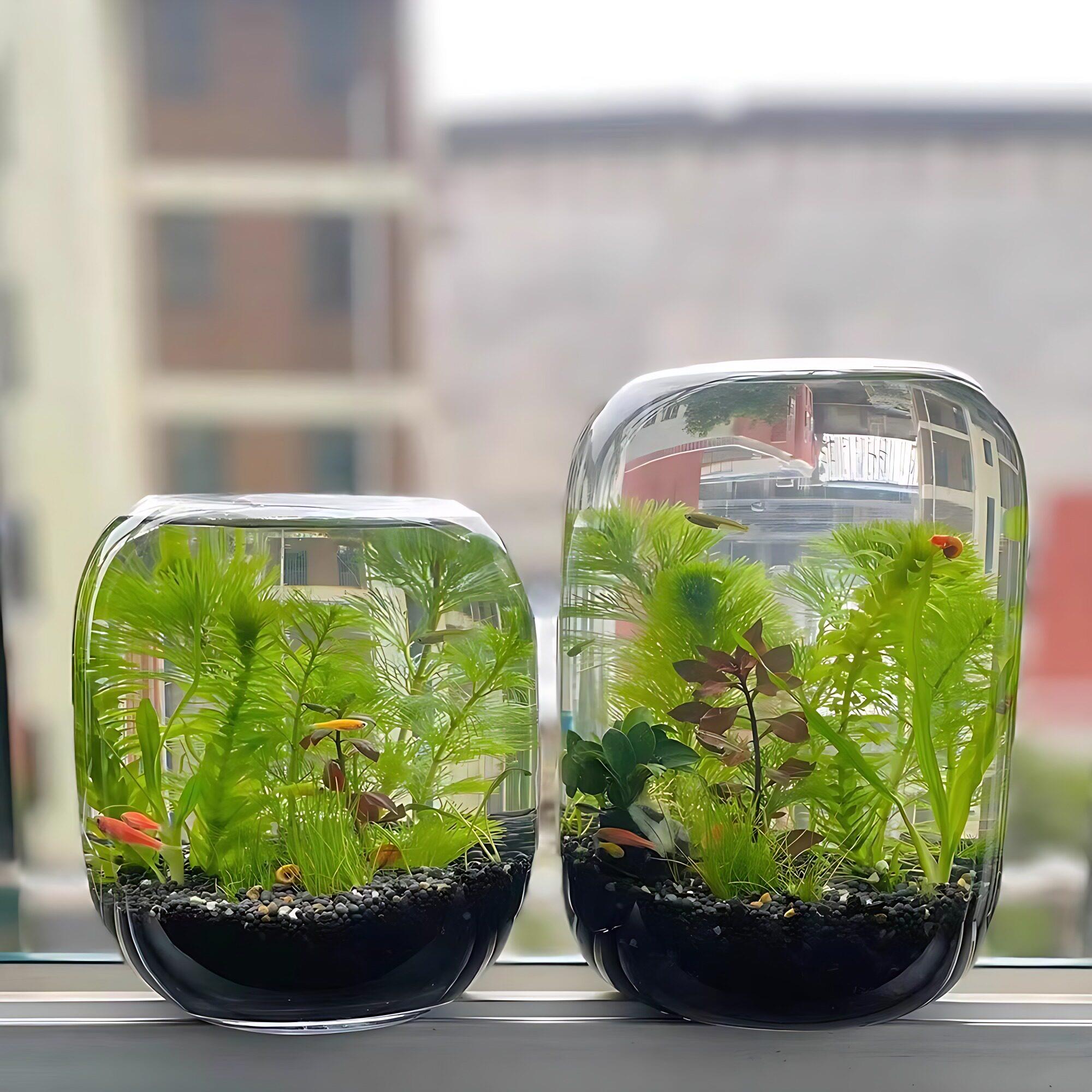 创意圆形玻璃花瓶加厚鱼缸生态瓶微景小型小鱼缸桌面装饰水培摆件图片