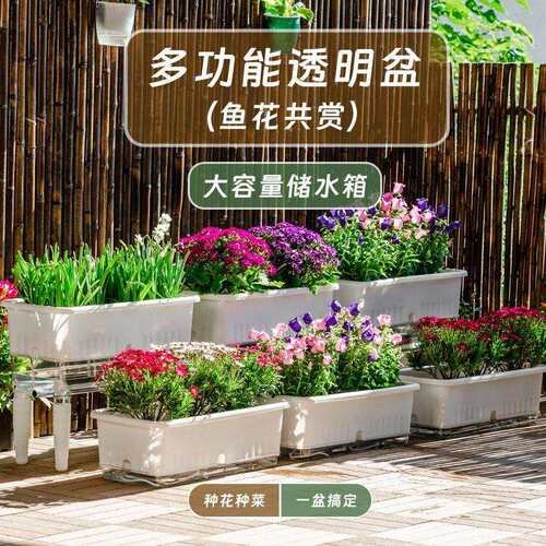 室内阳台种菜专用盆长方形自吸水懒人种花种蔬菜箱草莓特大号塑料