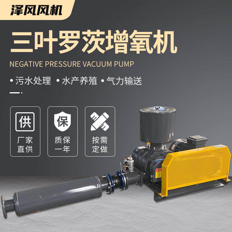 厂家供应鱼塘氧机水产养殖氧输送罗茨风机低噪音氧机风机