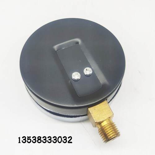 Y-80温度压力综合仪表10Bar120℃地暖水温表4点水压表80mm