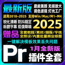 Pr2025全套插件一键安装包中文转场调色字幕滤镜预设素材模板合集