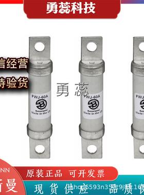保险丝熔断器FWX-2500AFWJ-35AFWJ-40A