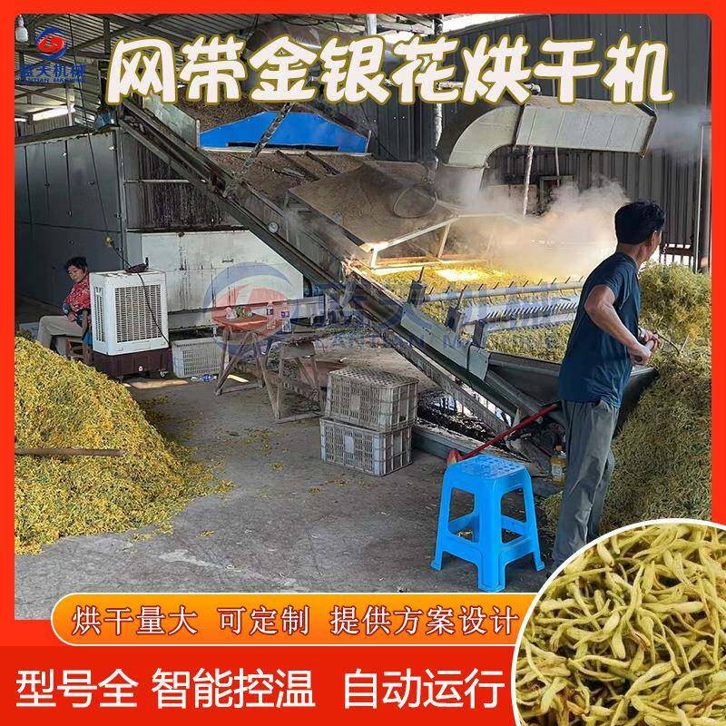 连续式金银花烘干机 山银花野生金银花茶烘干设备 二花忍冬干燥机