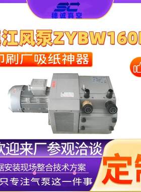 镇江风泵ZBW250E 碳片泵 高压稳定性好 出现问题负责到底 穗诚