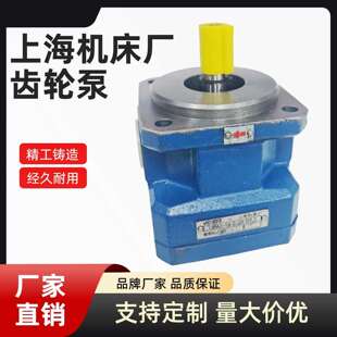 上海机床厂 发泡机 磨床 齿轮泵 GPA2 R6.3 16ml