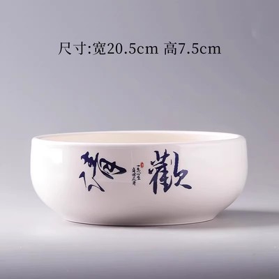 水培花盆叶莲铜钱金钱水仙花瓶