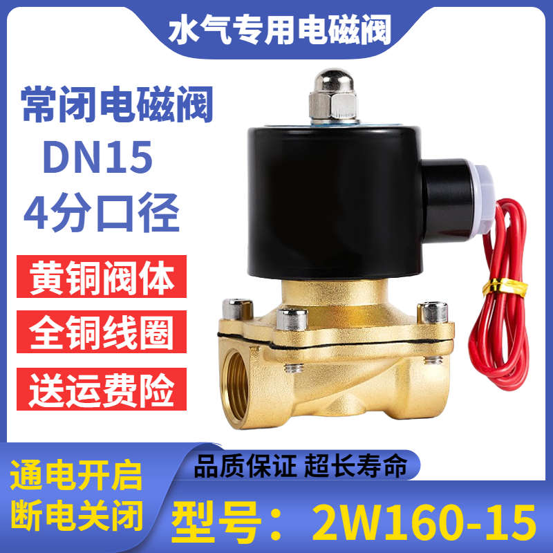 电磁阀220v常闭4分铜电动开关阀DN15货车淋水dc24v电磁控制阀12v