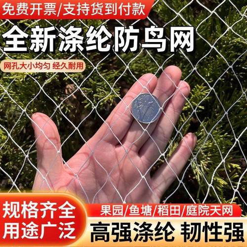 聚酯纤维防鸟网果园果树鱼塘葡萄天网大棚拦鸟合股线 线网果农防