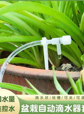 懒人自动浇水套装可调节滴水阳台花园花盆盆栽浇花系统定时滴灌器