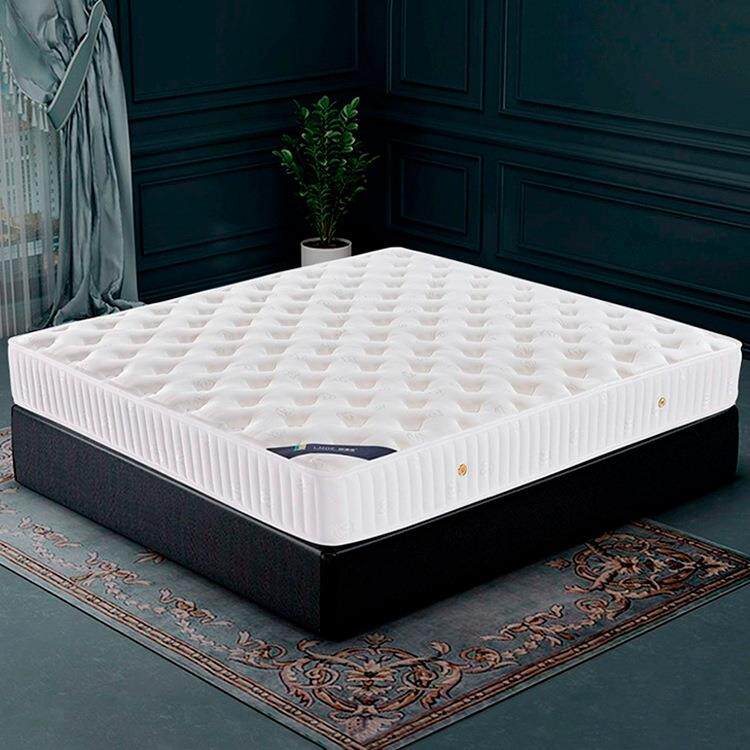 席梦思弹簧床垫厚20cm家用软垫偏硬垫椰棕榈乳胶经济型五星级酒店