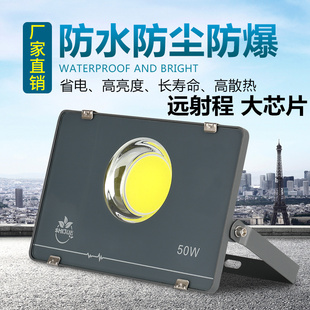 led射燈投光燈50w100w戶外防水招牌廣告燈投射燈室外超亮泛光路燈