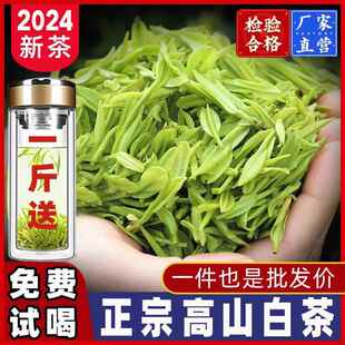 【送杯子】2024新茶嫩芽白茶正宗高山毛尖绿茶500g浓香型嫩芽送礼