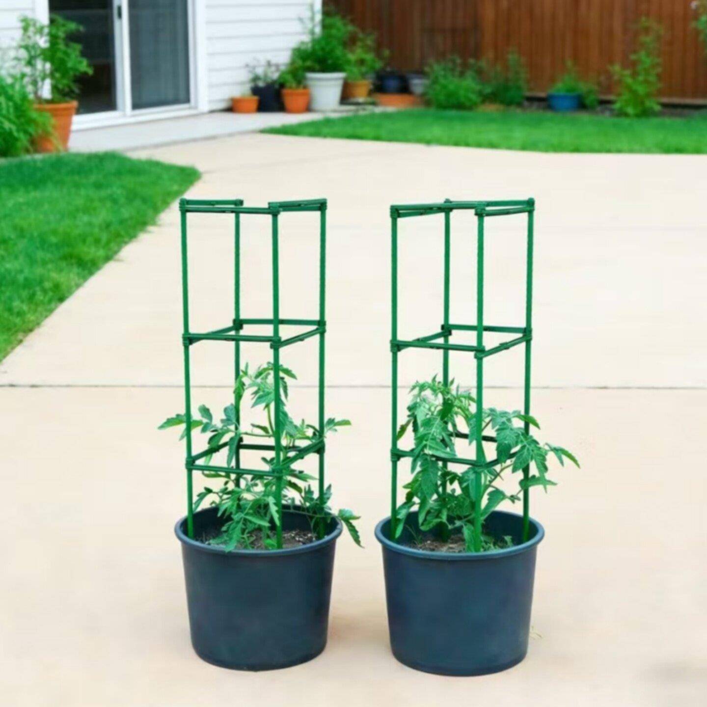 番茄西红柿架阳台地面花架番茄专用防倒爬藤架菜园种菜栅栏支撑杆