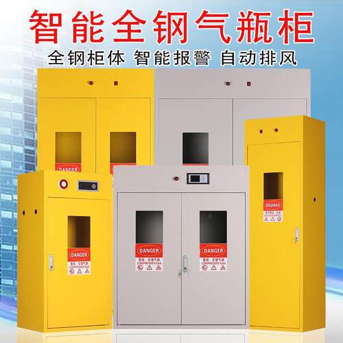 全钢智能报警排风防爆气瓶柜安全柜实验室双瓶煤气罐储存柜钢瓶柜
