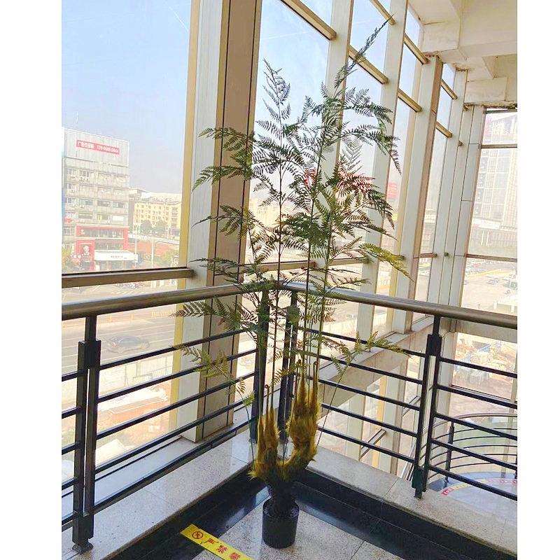 工厂店仿真蕨类植物盆栽猴头蕨马尾蕨蕨树园艺民宿售楼处摆件
