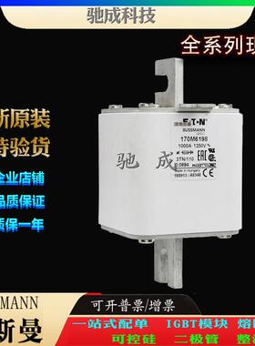 巴斯曼170M6189 170M6190 170M6191 大量现货优价供应 高速熔断器