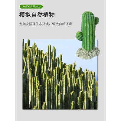 瑞皮reptizoo玩酷wacool爬宠饲养箱造景装饰树仿真植物仙人掌摆件