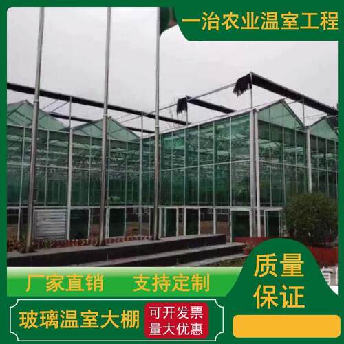 玻璃温室大棚果蔬大棚花卉大棚养殖业热浸镀锌管材大棚