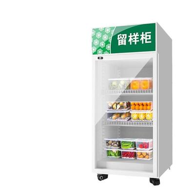 留样柜幼儿园学校食堂留样柜小型商用单门带锁冷藏保鲜柜双门冰柜