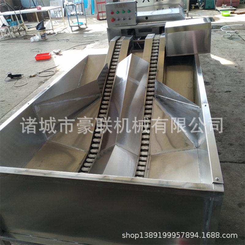 全自动洗蛋机 源头厂家 清洗产量从10000到20000可选 机器运行平