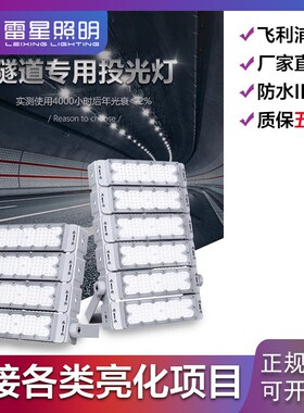LED模组灯隧道灯投光灯300W400W500W600W户外防水船用灯广告灯