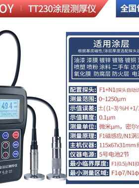 高档COY金属涂层防测厚仪精分体高镀锌层防腐火油漆厚度测量仪TT2