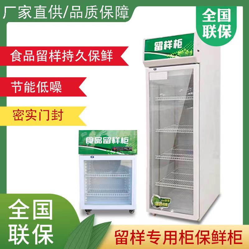 食品留样柜冷藏保鲜幼儿园带锁餐厅食堂用小型冰箱商用展示留样柜