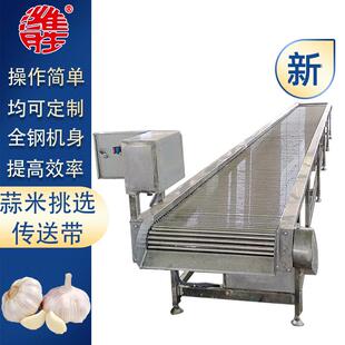 蒜米挑选机设备 全自动滚杠式 不锈钢滚杠式 蒜米挑选传送带设备
