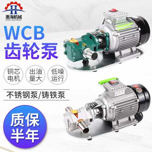 wcb齿轮泵齿轮液压油泵小型工业级电动高压抽油泵机柴油自吸
