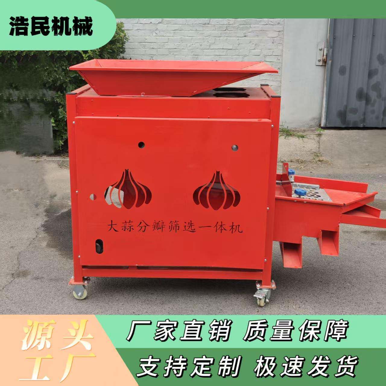 新款大蒜分瓣筛选一体机自动蒜种分选机不伤蒜种高效便捷