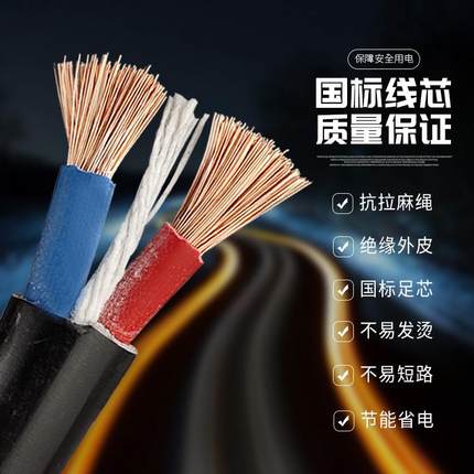 软电线2芯1.5/2.5/4平方RVV带插头电源家用大功率电缆线国标线径
