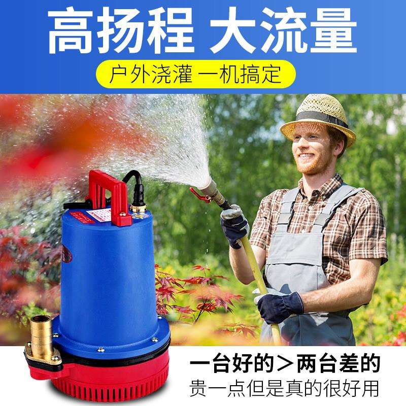 12V光伏直流高扬程抽水机太阳能小型泵家用农用鱼缸循环潜水泵48V