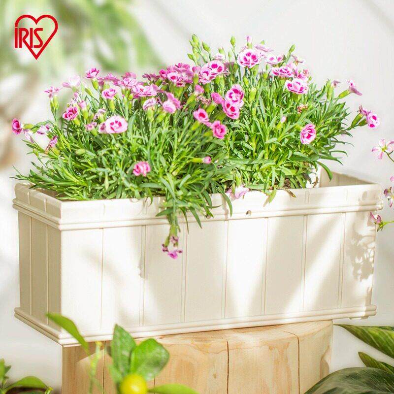 IRIS长条型盆创意个性树脂阳台种植盆塑料长方形加仑盆方盆花盆