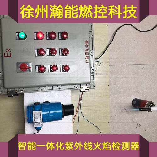 防爆K熄火保HNJDK-21护报警控制HNJD-21B火焰检测F探头CN-1)SIL箱