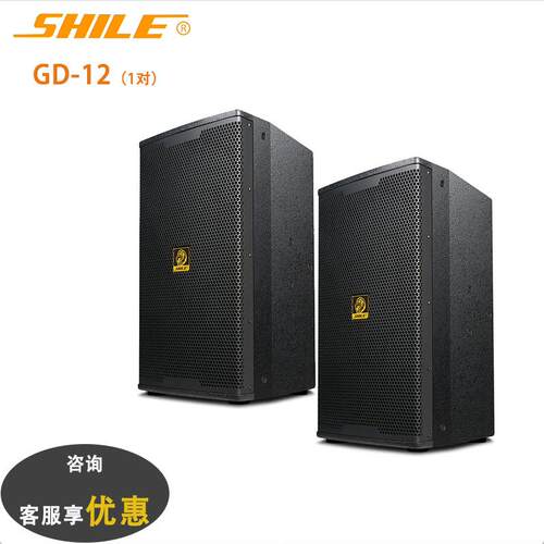 狮乐GD-12音箱家庭影院12英寸KTV音响娱乐活动K歌会议舞台竖箱