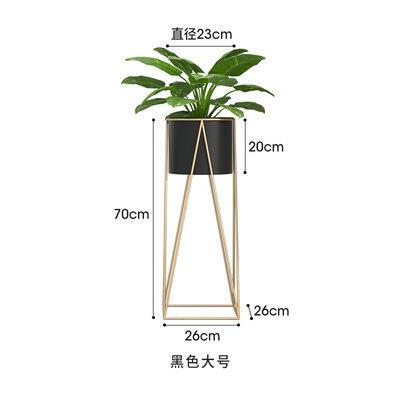 欧内铁艺爬室花架客厅阳台TSE12344简易绿植造型架落地藤式花盆置