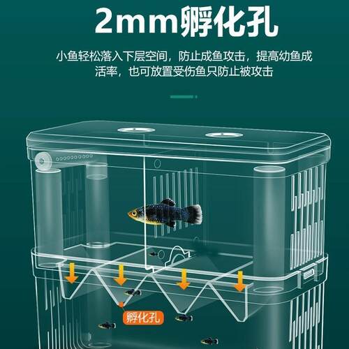 热带鱼孵化器其它水族用具设备