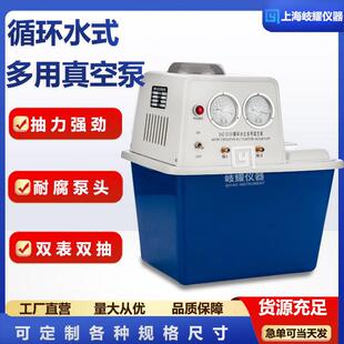 DIII循环水真空泵实验室蒸馏减压小型双表双抽多用真空泵 直供SHZ