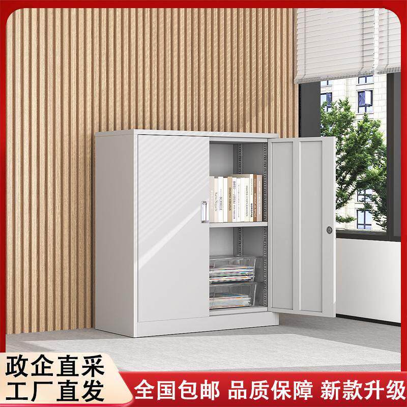 加厚钢制办公室文件柜财务资料档案凭证柜家用储物柜小矮柜铁皮柜