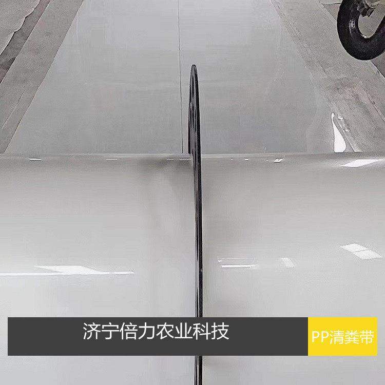 鸡用清粪带PP材质白色鸡粪带厂家直销优质选料绿色环保质量保证图片