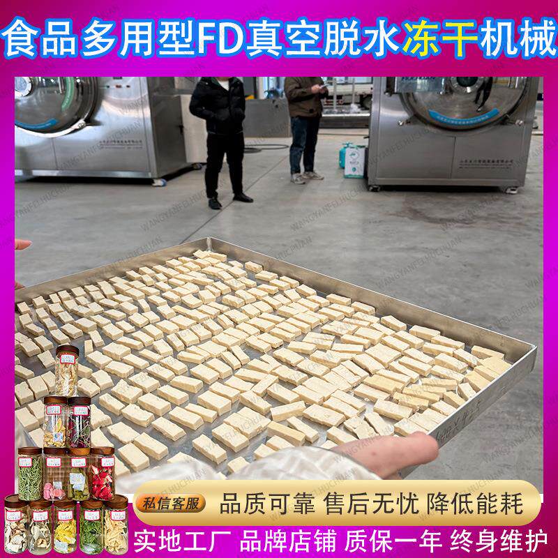 豆腐食品冻干机商用果蔬肉禽真空冷冻干燥设备智能控温冻干设备