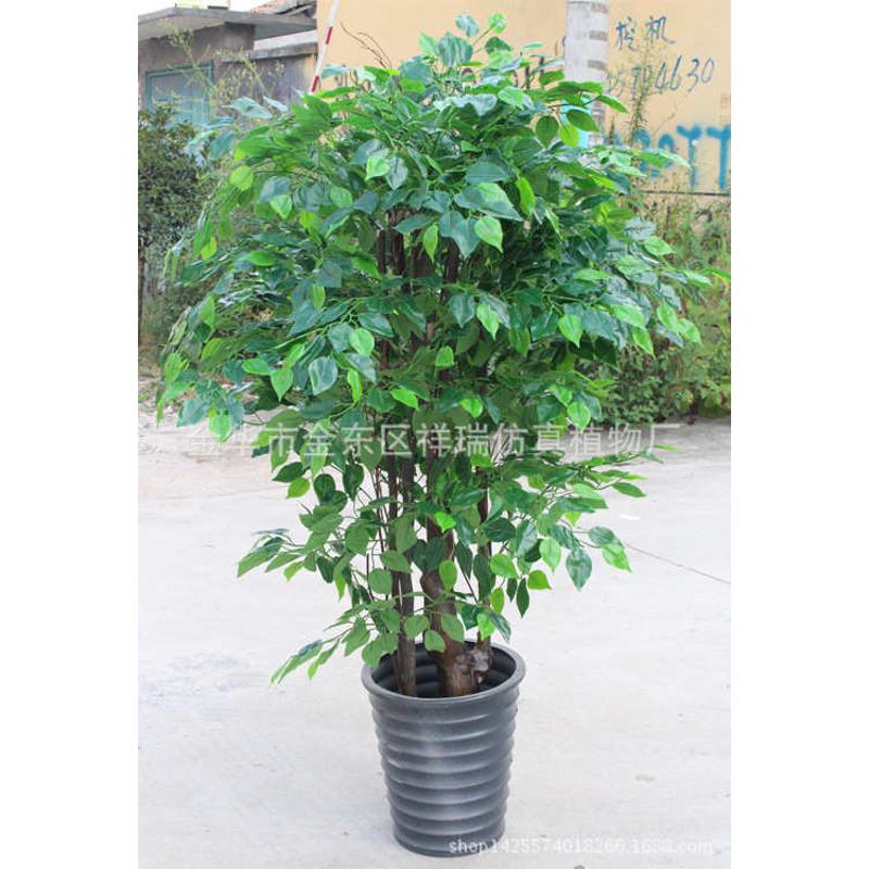 仿真植物1.5米榕树叶 过胶新绿榕叶白边榕叶拍摄背景工程装饰批发