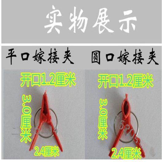 拇指采摘刀打叶摘菜工具采摘小铡刀黄瓜豆角葡萄掐须打尖打叉刀,鲜花速递/花卉仿真/绿植园艺,园艺用品套装,淘宝优惠券,粉丝福利购,淘宝优惠卷